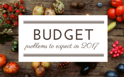Which Problems for Your Home Budget to Expect in 2017