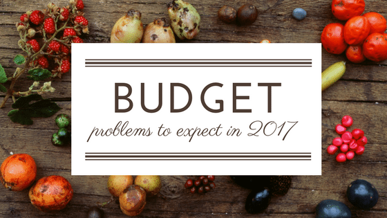 Which Problems for Your Home Budget to Expect in 2017