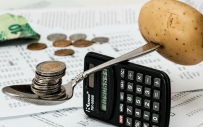 How to Budget Your Monthly Income?