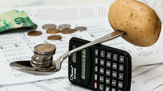 How to Budget Your Monthly Income?