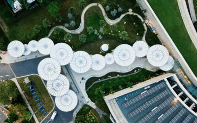 An Essential Guide to Funeral Insurance